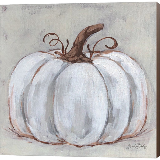 Pumpkin Close-Up II by Sara Baker, Canvas Art