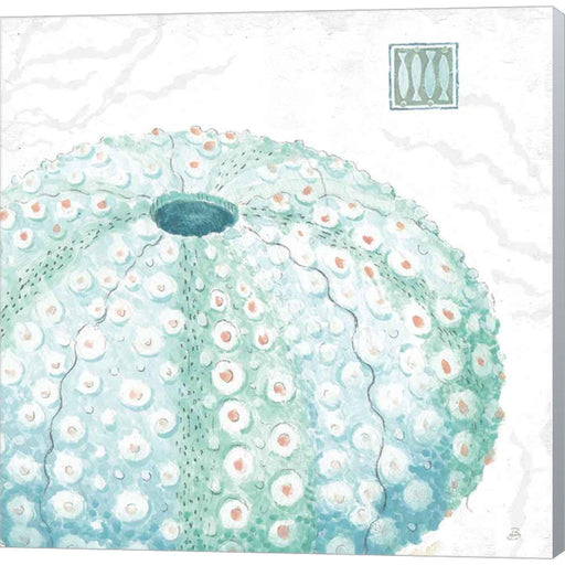 Delicate Sea VIII by Daphne Brissonnet, Canvas Art