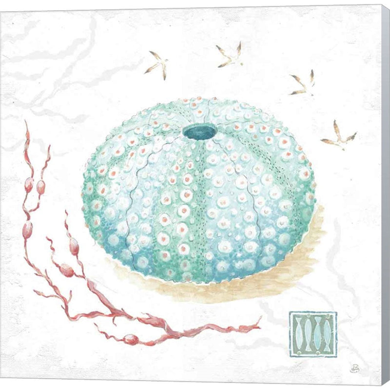 Delicate Sea VII by Daphne Brissonnet, Canvas Art