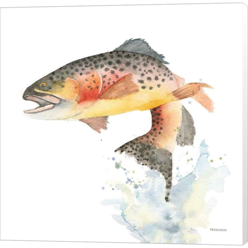 Cutthroat Trout by Kathy Ferguson, Canvas Art
