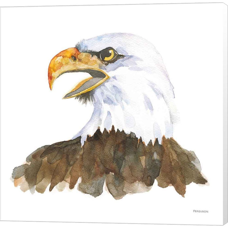 Bald Eagle by Kathy Ferguson, Canvas Art