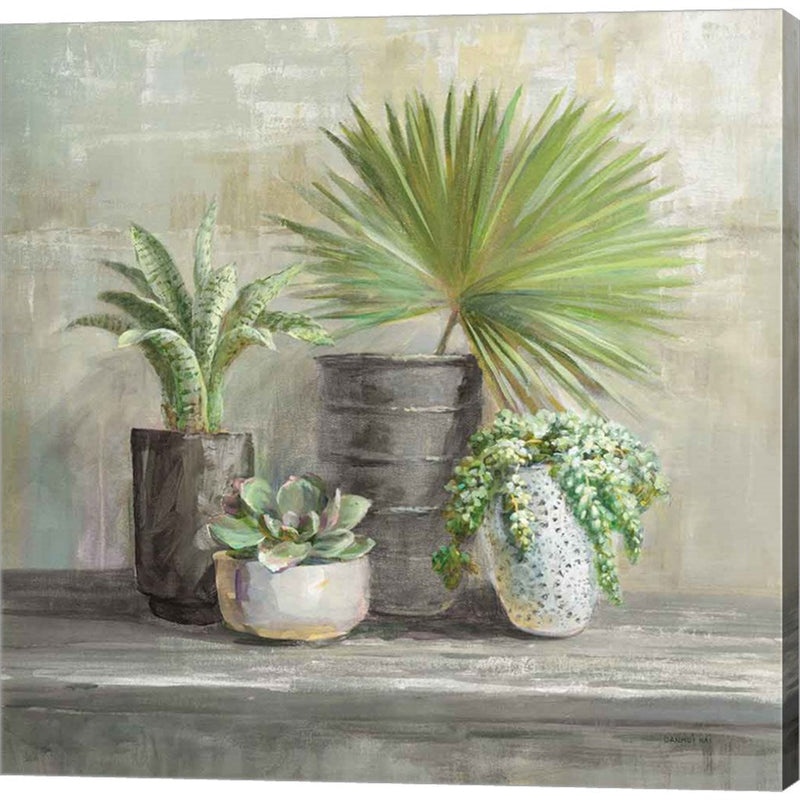 Indoor Garden Gray by Danhui Nai, Canvas Art