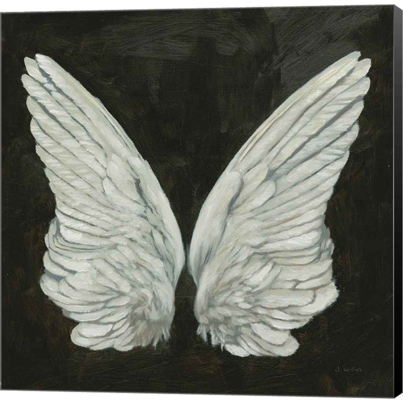 Wings I by James Wiens, Canvas Art