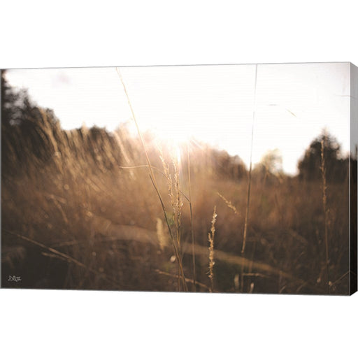 Bright Sun Haze I by Donnie Quillen, Canvas Art