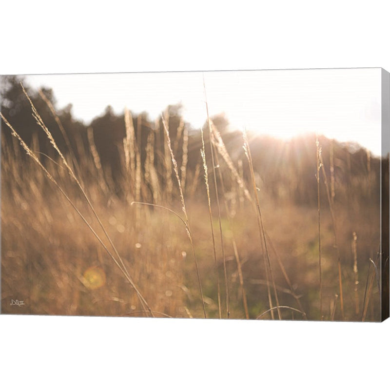 Bright Sun Haze II by Donnie Quillen, Canvas Art
