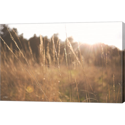 Bright Sun Haze II by Donnie Quillen, Canvas Art