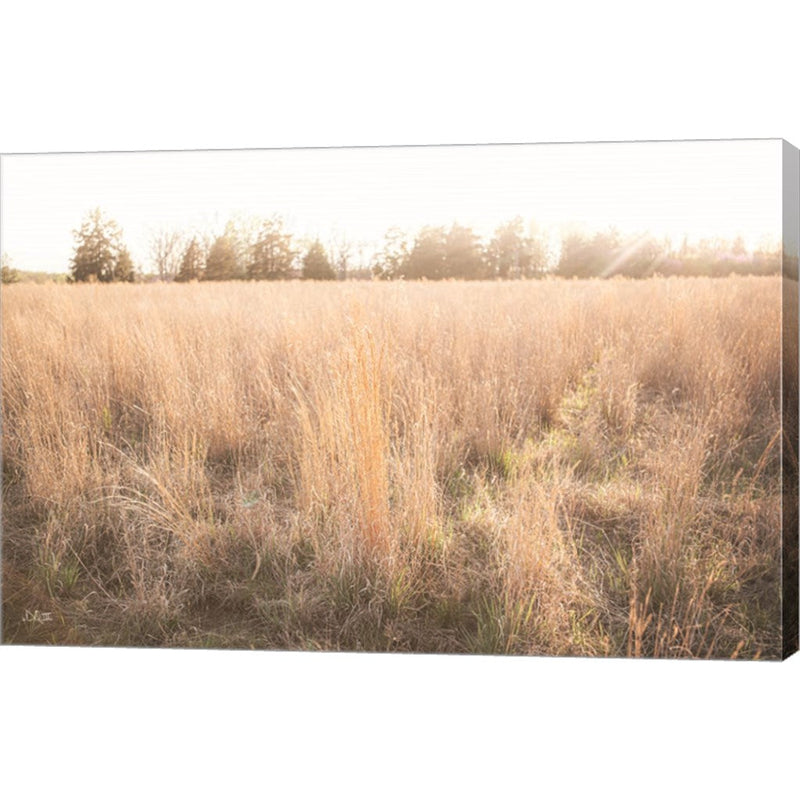 Bright Sun Haze III by Donnie Quillen, Canvas Art