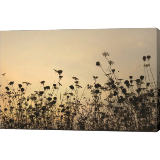 Sunset Lace by Lori Deiter, Canvas Art