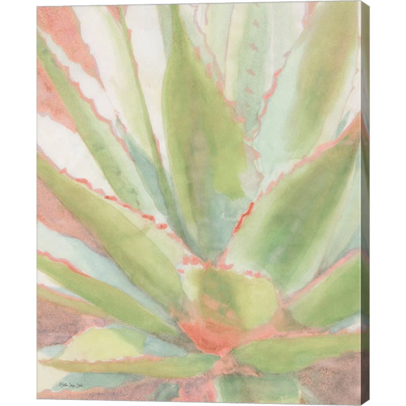 Succulent Bloom 1 by Stellar Design Studio, Canvas Art