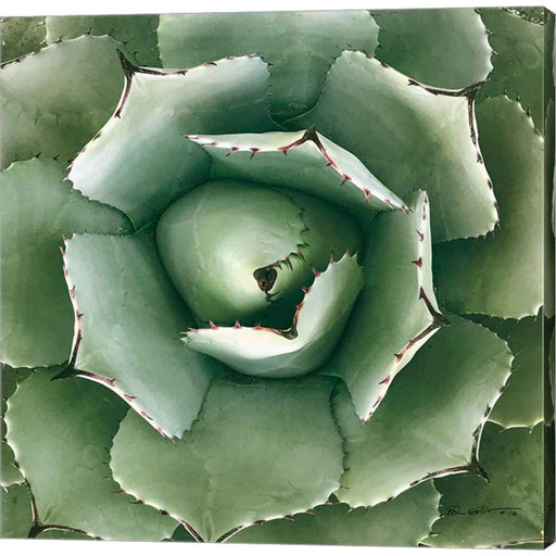 Cactus Verde II Green by Ed Goldstein, Canvas Art