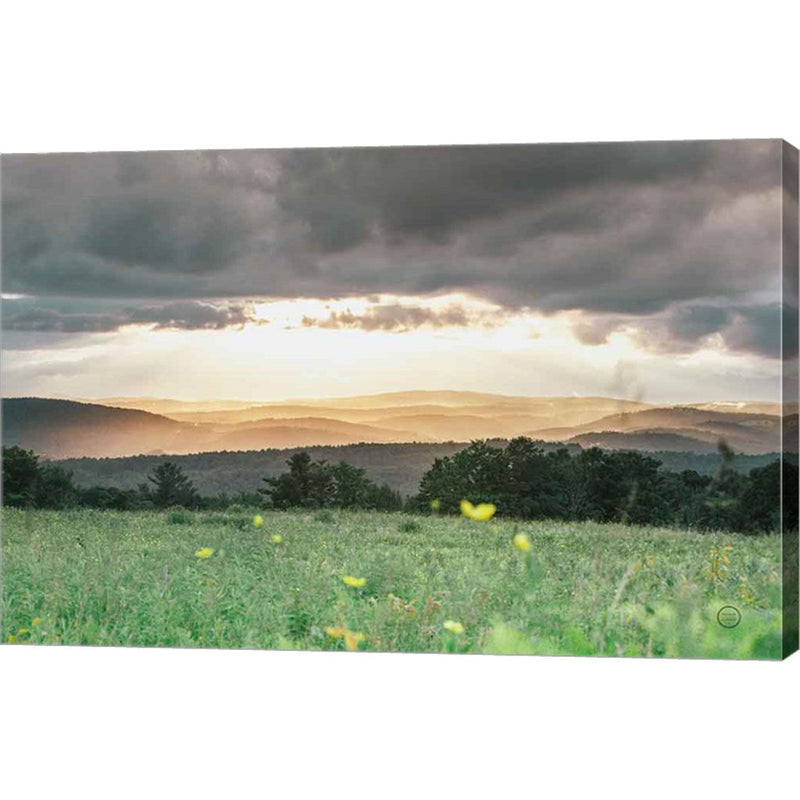 Laying in the Flowers by Nathan Larson, Canvas Art