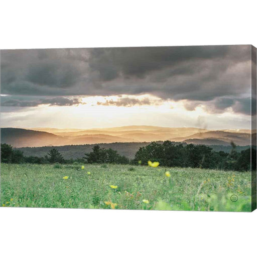 Laying in the Flowers by Nathan Larson, Canvas Art