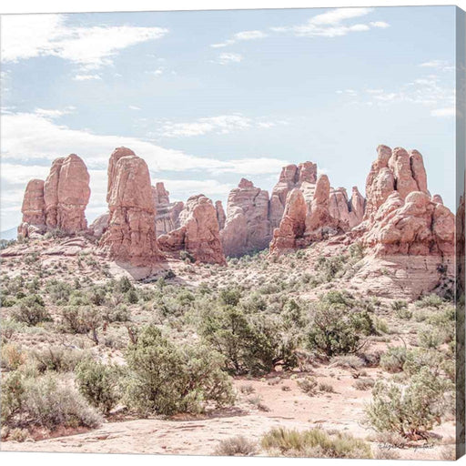 Oasis Day Hike III Crop by Elizabeth Urquhart, Canvas Art