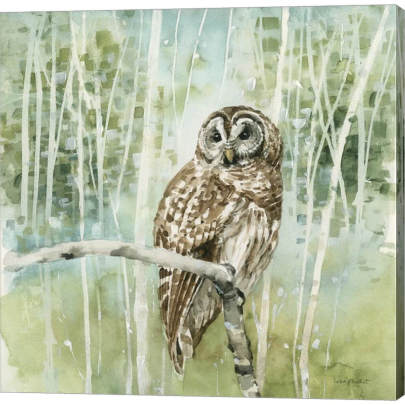 Nature's Call III by Lisa Audit, Canvas Art