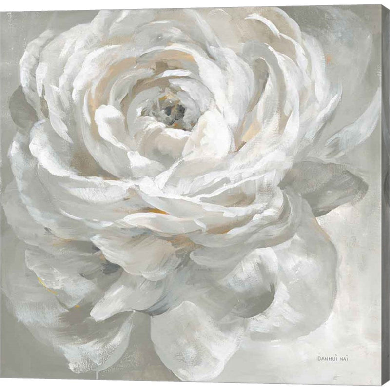 White Rose by Danhui Nai, Canvas Art