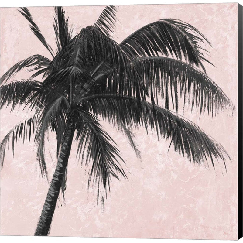 Gray Palm on Pink I by Patricia Pinto, Canvas Art