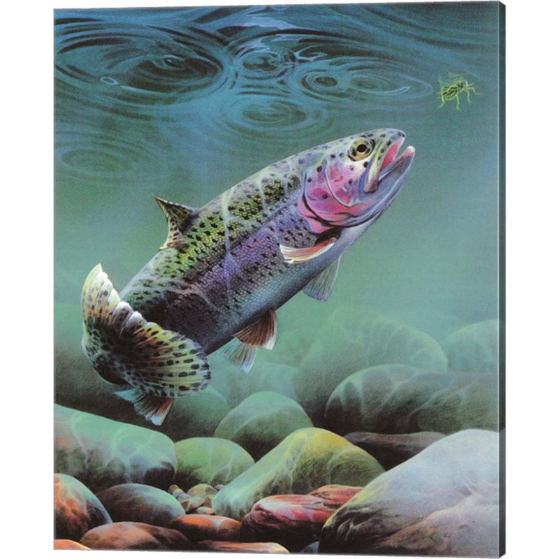 Rainbow by Spencer Williams, Canvas Art