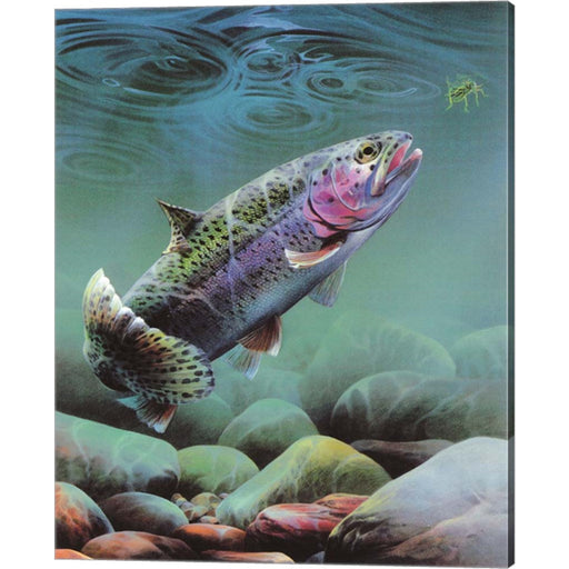 Rainbow by Spencer Williams, Canvas Art