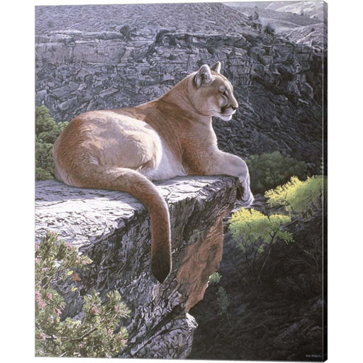 Cougar Country by Ron Parker, Canvas Art