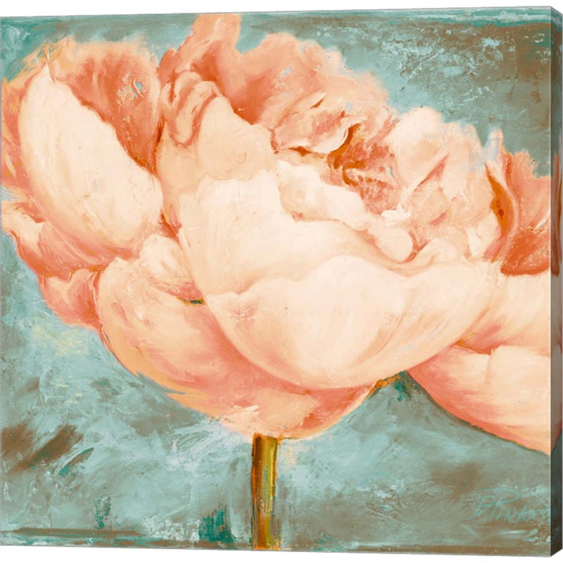 Beautiful Peonies Square II by Patricia Pinto, Canvas Art