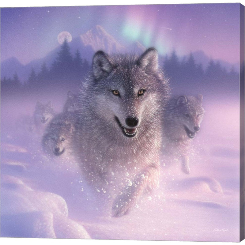 Running Wolves - Northern Lights - Square by Collin Bogle, Canvas Art