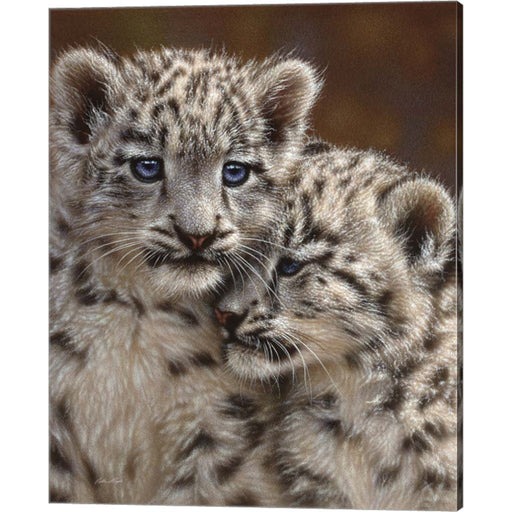 Snow Leopard Cubs - Playmates by Collin Bogle, Canvas Art