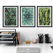 Cactus art framed Set of 3 Picture Frame Store New Jersey
