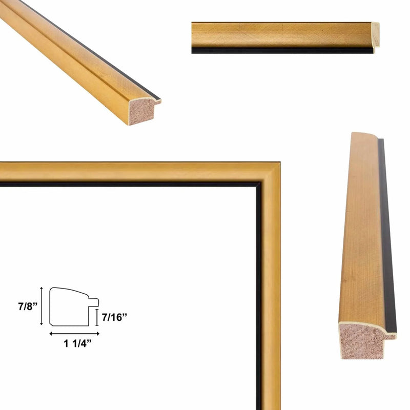 Contemporary Gold With Black Picture Frame 