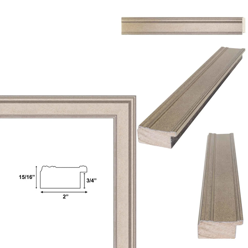 27x41 Frame Contemporary Silver Leaf Picture Frame