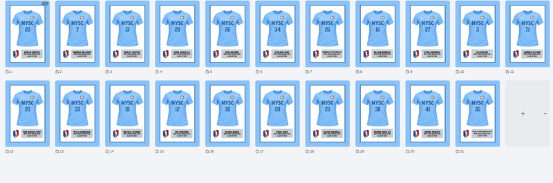 24 NYSC 18x24 Jersey frame prints