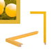 Modern Yellow Picture Frame Custom Framing - Popular Sizes
