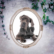 11x14 Silver Antique Oval Vintage Picture Frame