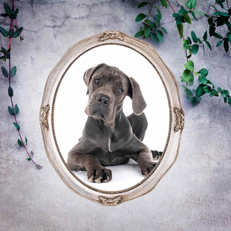 11x14 Silver Antique Oval Vintage Picture Frame