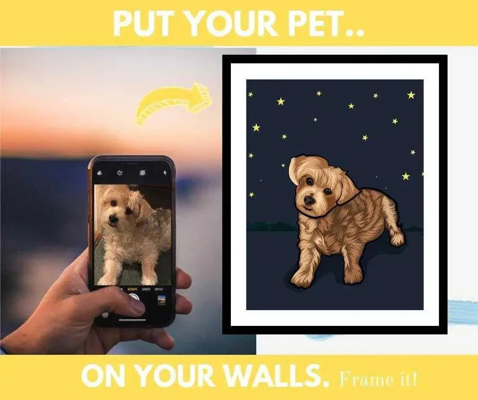 Custom Photo Printing & Framing | Upload & Frame Your Pictures