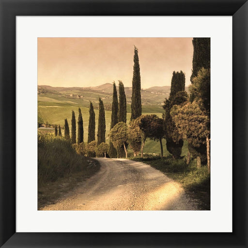 Country Lane, Tuscany by Elizabeth Carmel, Framed Art