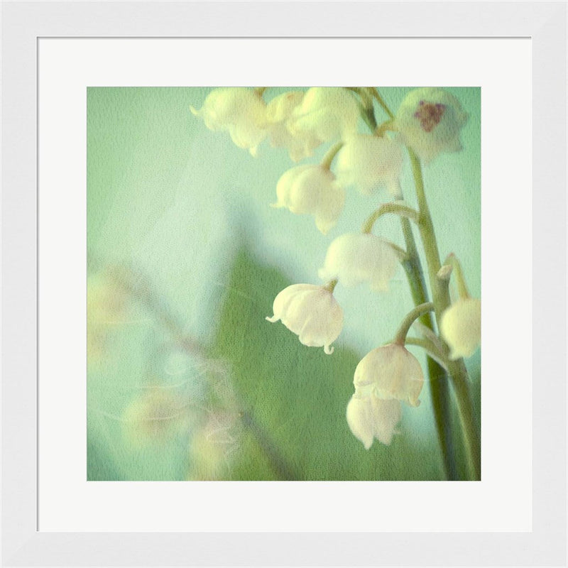 Lily of the Valley by Judy Stalus, Framed Art