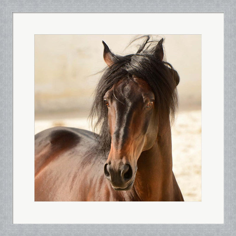 Casanova by Tony Stromberg, Framed Art
