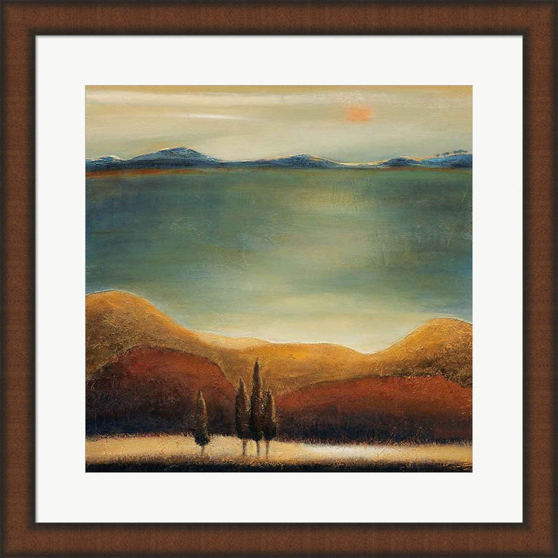 Tierra Sol by Ursula Salemink-Roos, Framed Art