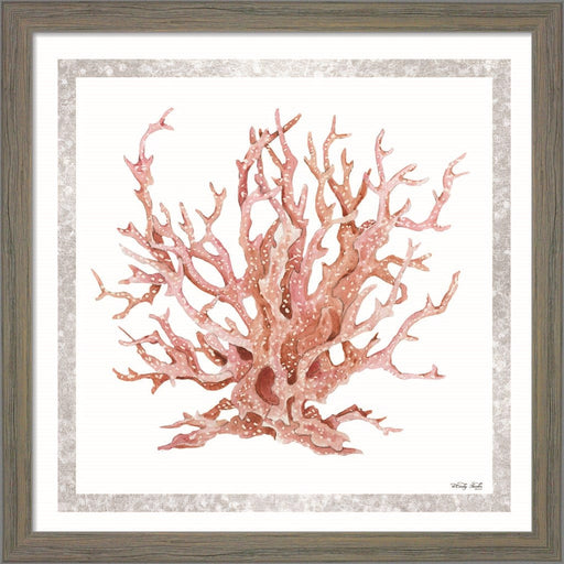 Pink Coastal Coral I by Cindy Jacobs, Framed Art