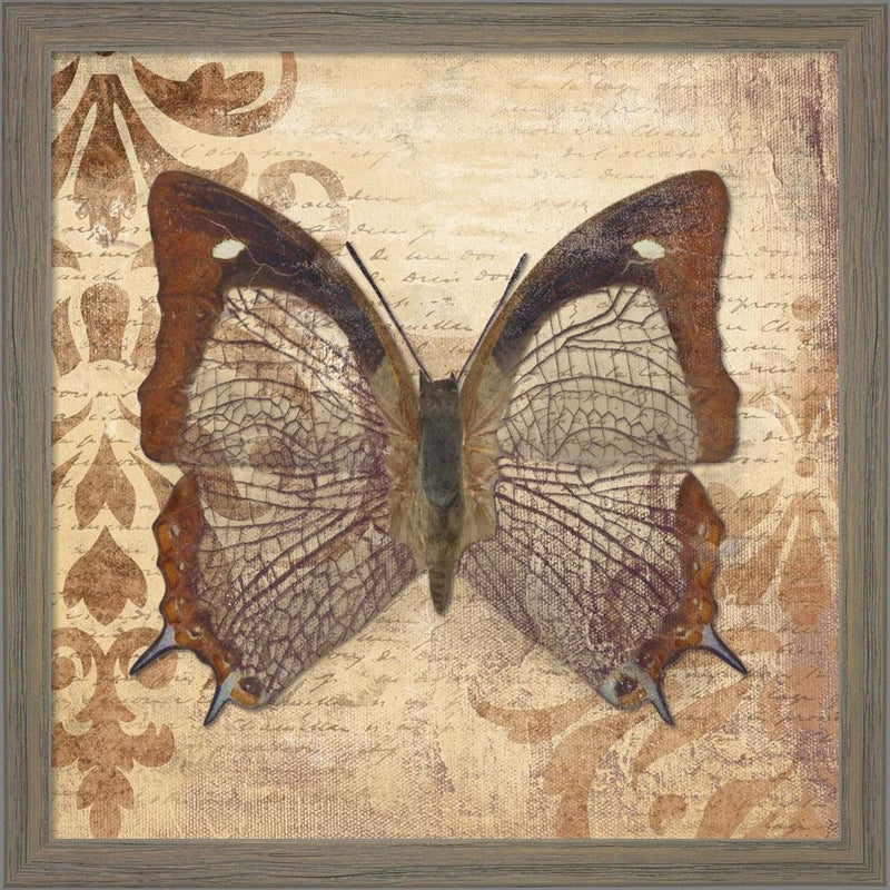 Butterfly by Patricia Pinto, Framed Art