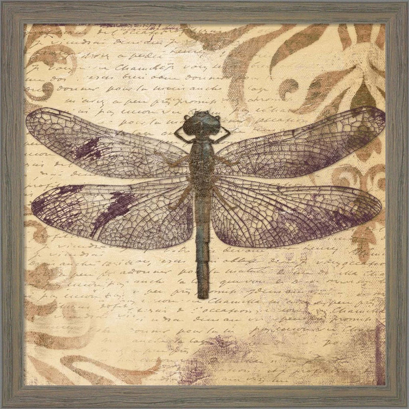 Dragonfly by Patricia Pinto, Framed Art