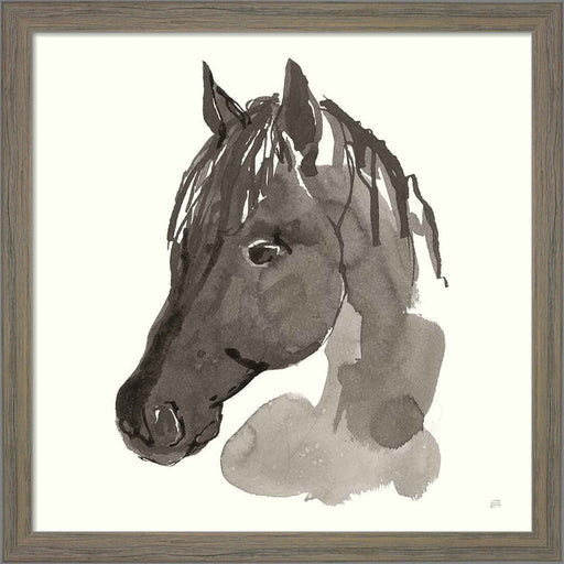 Horse Portrait II by Chris Paschke, Framed Art
