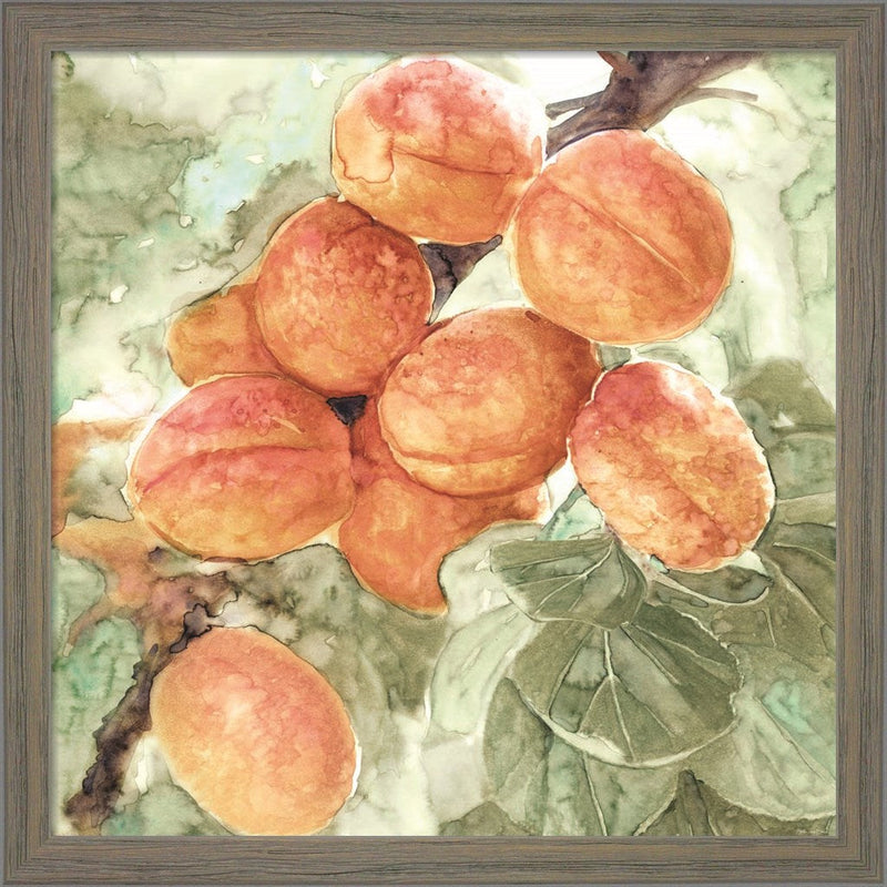 Peach Branch by Stellar Design Studio, Framed Art