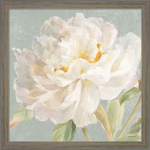 Garden Peony Neutral Crop by Danhui Nai, Framed Art