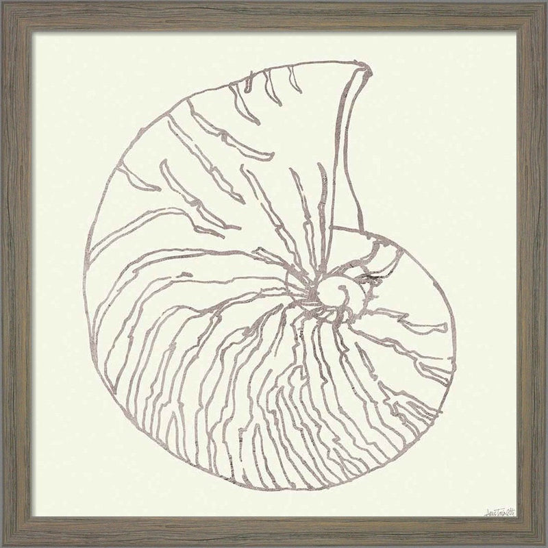 Coastal Breeze Shell Sketches VII Silver by Anne Tavoletti, Framed Art