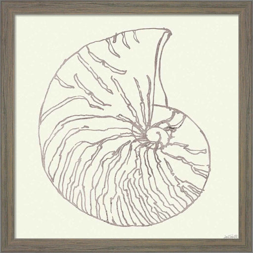 Coastal Breeze Shell Sketches VII Silver by Anne Tavoletti, Framed Art