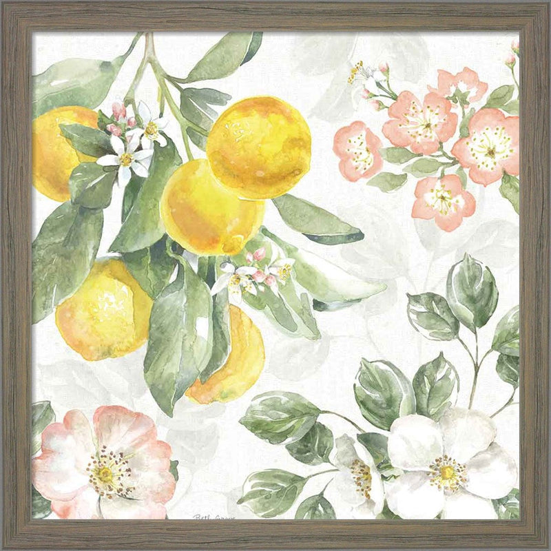 Citrus Charm VI by Beth Grove, Framed Art