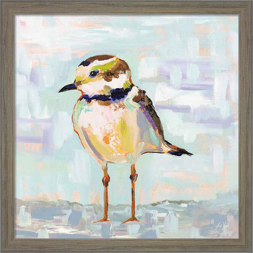 Coastal Plover II Neutral by Jeanette Vertentes, Framed Art