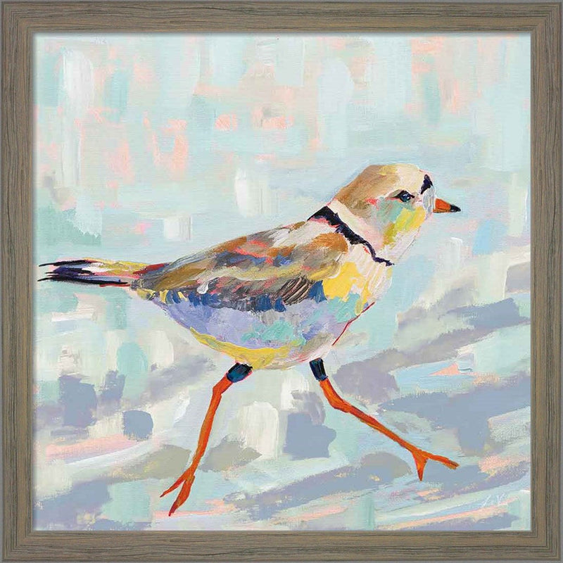 Coastal Plover I Neutral by Jeanette Vertentes, Framed Art