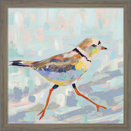 Coastal Plover I Neutral by Jeanette Vertentes, Framed Art